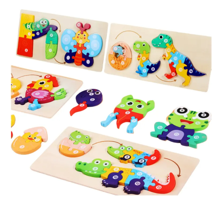 Juego didáctico, ciclo de vida 30x15 cm 120pz