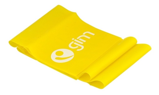 [GM-15GIMNAS221CH] Bandaa Elásticaa De Resistencia Ejercicios La Mejor #1