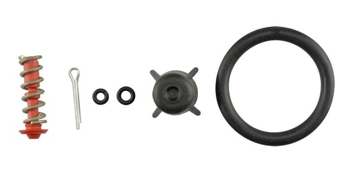 [GM-22ASP00CZ9922] Juego De Repuesto Bomba 20L Vjo Mod.Cz9922