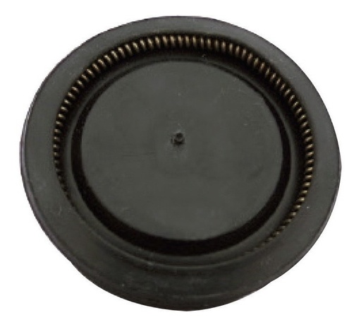 [GM-22ASPPIS004TZ] Piston Para Aspersora 3Wbs15